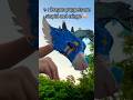 Not Everyone Likes The Same Things Dragonfan Puppet Dragonpuppets Paperdragon Art