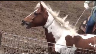 preview picture of video 'Corrupt Cops and Horse Abuse Returning to Oregon?'