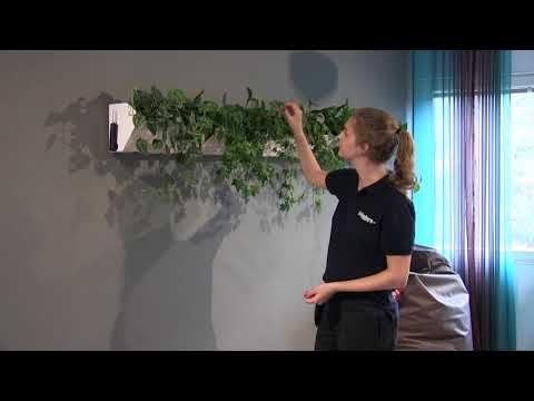 Juliusberg Växtservice växtväggar & växttavlor