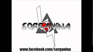 Download lagu Sorganina - Pemerhati mp3