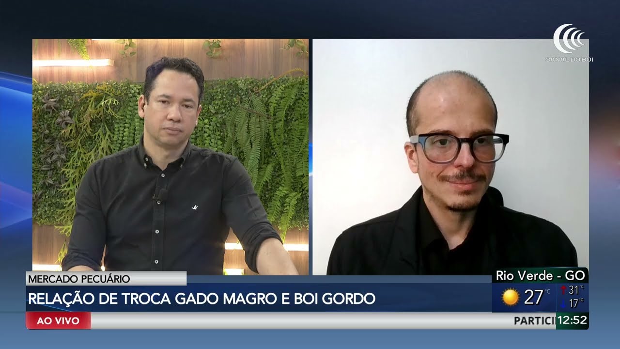 Relação de troca entre boi magro e boi gordo movimenta mercado pecuário