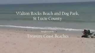 preview picture of video 'Walton Rocks Beach and Dog Park'