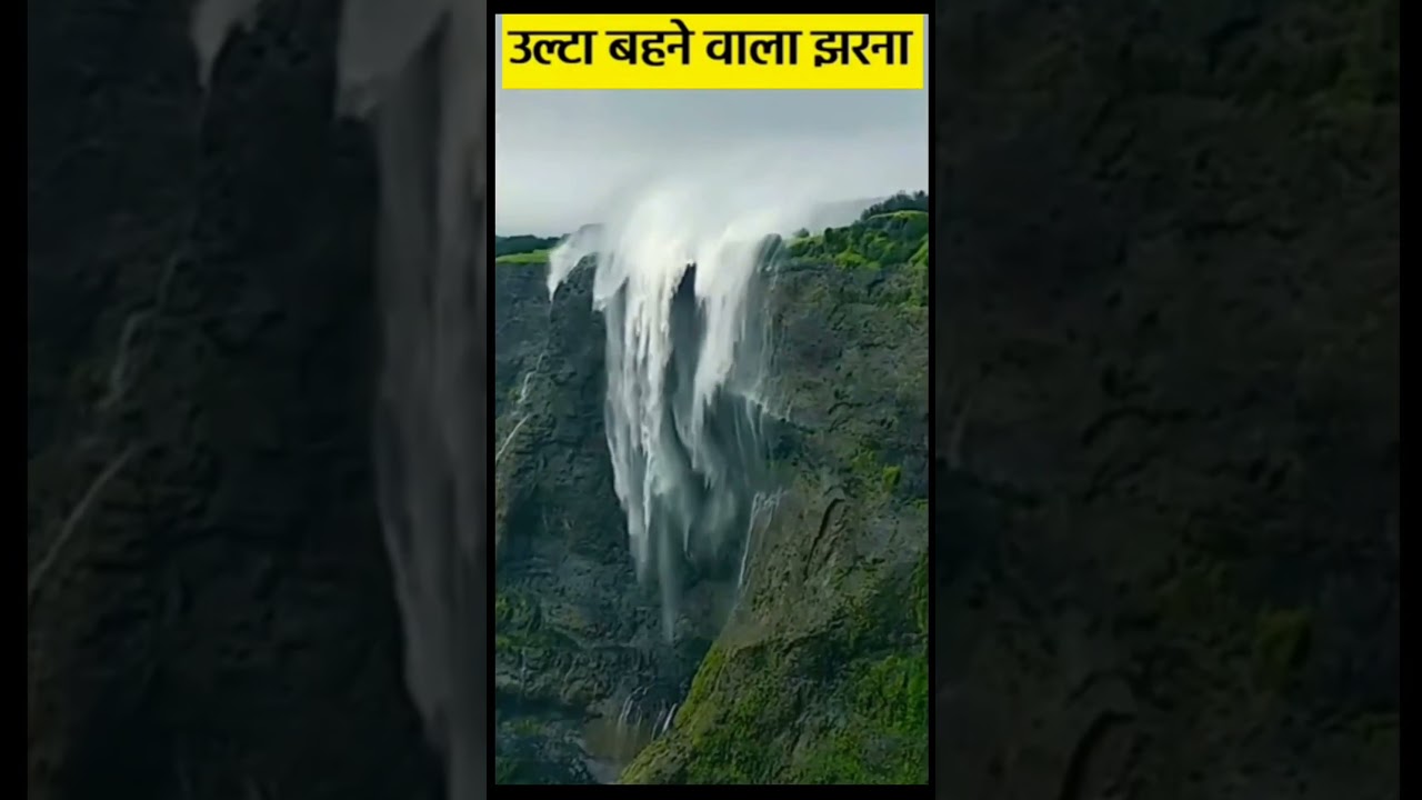 #didyouknow #facts #fact #knowledge #factsdaily #didyouknowfacts #dailyfacts