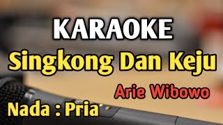 Download lagu SINGKONG DAN KEJU KARAOKE NADA PRIA COWOK Disco Mu... mp3