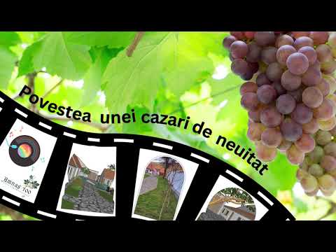 Cazare de neuitat in natura in Amnas, Saliste, un sat linistit de langa Sibiu. Ideal pentru familii