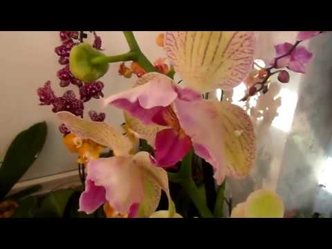 Лайфхаки со шнурами для горшков и банок. Из серии бери и делай))