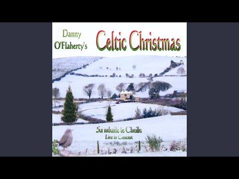 The Wren, the Wren/Irish Washerwoman