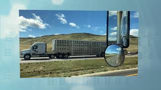 Midland: Somewhere On The Wind - in my cow truck