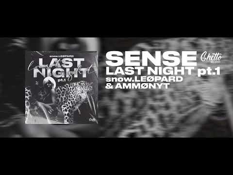 snow.LEØPARD & AMMØNYT - Sense
