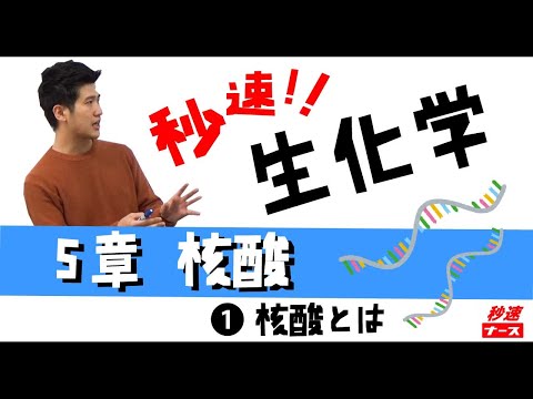 看護学科 【秒速ナース】5-1 核酸とは【生化学-授業動画】