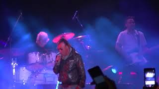 DALLA PELLE AL CUORE - Antonello Venditti a Stornara (Foggia) area Mercatale 20 agosto 2017