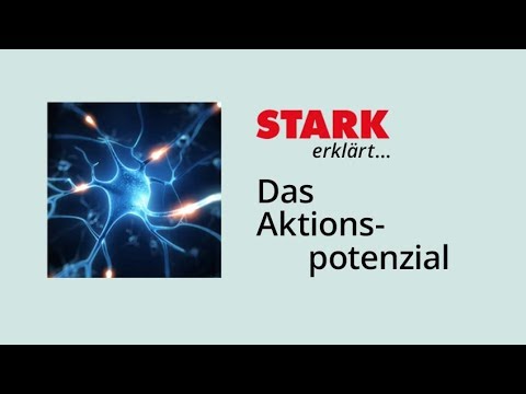 The action potential | STARK explains
