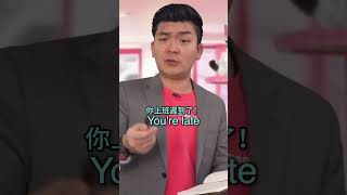 廢物管理公司的貓咖 8🐱Failure Management Cat Cafe 8 | Steven He官方中文翻譯