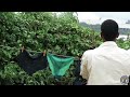 INDLU YEGAGU NEW ZULU DRAMA 2024 DEJAVOO MEDIA LATEST MZANSI STORY NEW ZULU MOVIE
