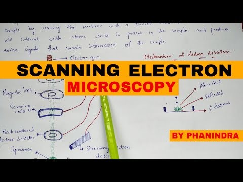 Scanning electron microscopy | SEM | Principle | mechanism