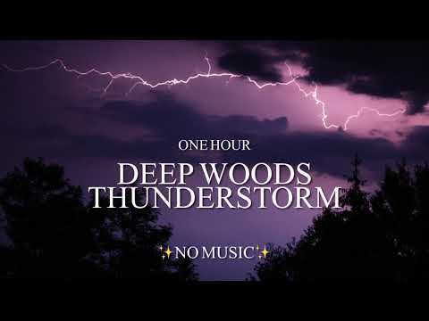 {1 Hour} Camping In Deep Woods During Thunderstorm Sounds & Loon Call **No Music**
