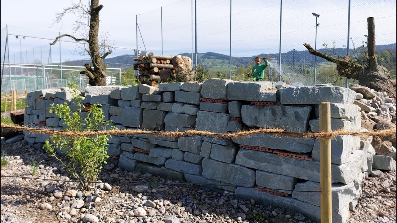  Biodiversität - eine Oase für Pflanzen und Tiere