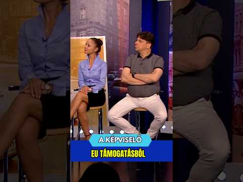 Pályázati pénzek mindenre (részlet)