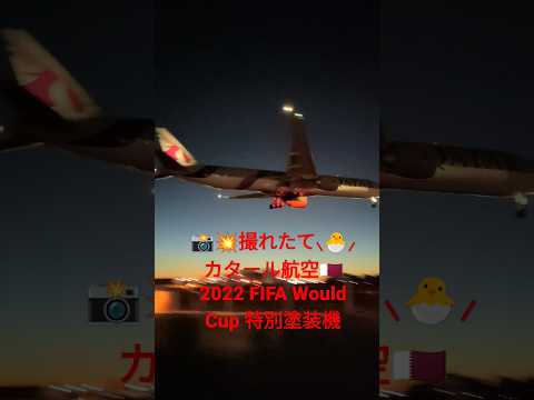 カタール航空、航空機の「ライブラリー」でノートパソコンの持ち込み禁止を回避