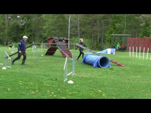 Tävl 160529 Haninge Ag2 Monica Trixi