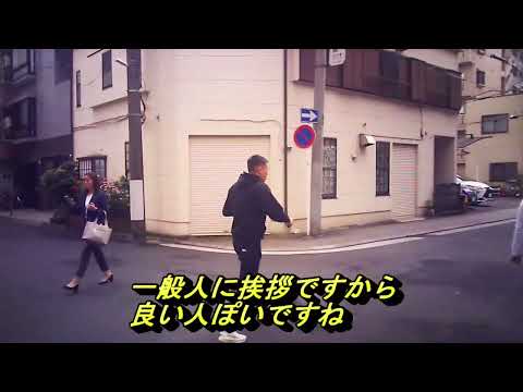 Pseudoleistes virescens