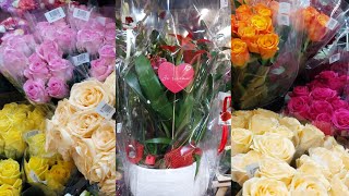 Colorful Roses ||St Valentine's day| Flowers |Bouquet de Fleurs|fleuriste