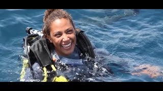 PADI Learn to Scuba Dive