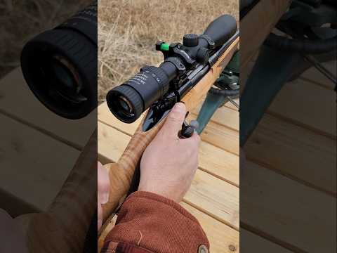 Winchester defender 12 gauge #shotgun #guns #birdshot #12gauge #buckshot #homedefense ￼