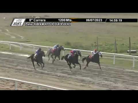 SINT COLONIA 230706 c08 - 1° LEO KING