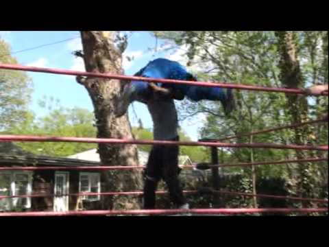 EWA Maximum vs Matt Xstatic Mv