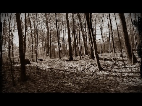 MIASTA PEŁNE CIEKAWYCH HISTORII – LAS MIECHOWICE