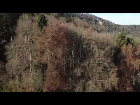 Nemůžu očistec, lítám nadzemí