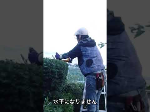 なぜ庭の生垣がまだ流行っているのですか？  庭園