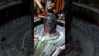 Ujjain Temple  Morning Shivling Abhishek