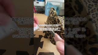 GWも終わるね😭 #ズボラ主婦 #日常vlog #購入品紹介 #生活音 #生活音asmr #japanlife #momlife #shoppinghaul #momvlog