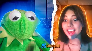 Kermit got that rizz on Omegle