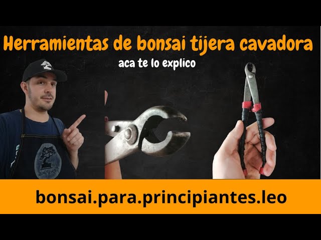 Vídeo relacionado con TAVADA Kit Herramientas Jardinería 28 Piezas, Bonsai con Tijeras y Pala