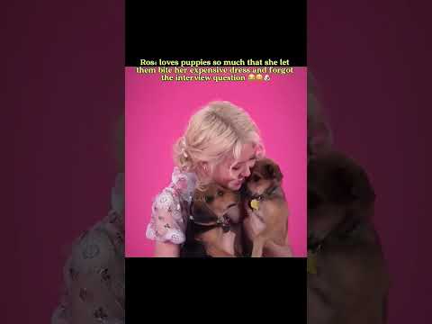 #puppy #dog #pets #blackpink #cute pls comment your favorite animal