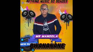 Mr Nandolass =pwanane(2022) Download MP4
