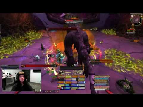 Mythic Nythendra - Pie Chart - Bear PoV