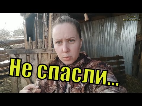 НЕ СПАСЛИ.. Наконец-то весна.Море шишек. Батут/ Семья Фетистовых