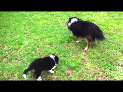 Sasa et Ewan 31 5 2014