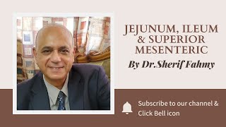 Dr. Sherif Fahmy - Jejunum,Ileum & Sup. Mesenteric