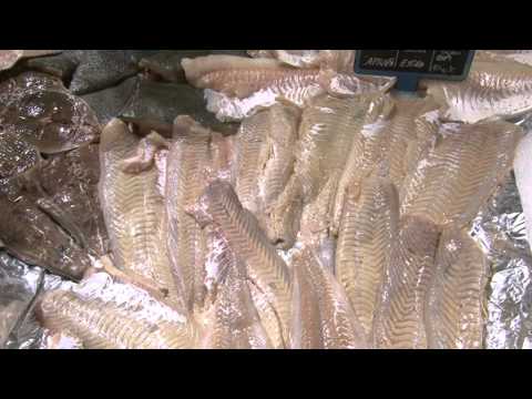 Mereu in Forma - editia 20