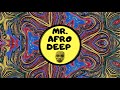 Caiiro Ft Sam K Cries Of Motherland House Assassins 21 Days Lockdown Mix