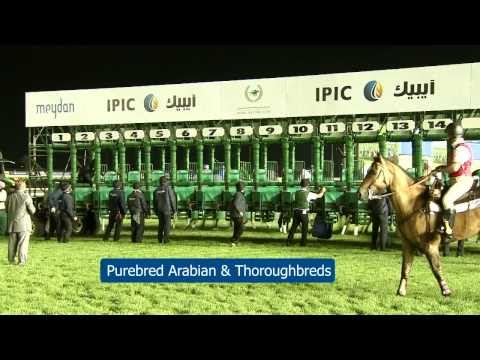 IPIC's first event at Meydan, the Dubai World Cup Carnival