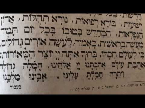 Tefilah 23 Ha'mechadesh Be'tuvo - Prayer - Sharchris - תפילה 23 המחדש בטובו – שחרית