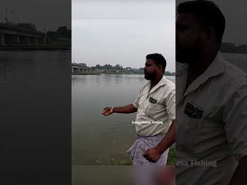 Backwater Fishing Success 🔥 Bottle Trap with Maida Bait Catching Mullet #fishing #handfish #fish