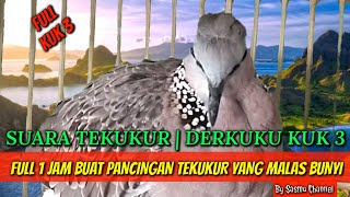 Download lagu suara tekukur | derkuku kuk 3 full 1 jam buat pancingan tekukur yang malas bunyi by sasmo chanell mp3 Download lagu suara tekukur | derkuku kuk 3 full 1 jam buat pancingan tekukur yang malas bunyi by sasmo chanell mp3