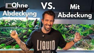 Offenes oder geschlossenes Aquarium – Was ist besser?